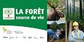 Association Forestière Des Cantons De L'Est image 1