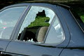 Auto Glass Wizard - Replacement & Repair image 3