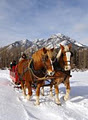 Banff Adventures image 3