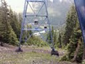 Banff Gondola image 4