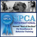 Bark Busters Edmonton In Home Dog Training image 5