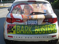 Bark Busters In Home Dog Training image 3