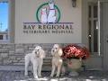Bay Regional Veterinary Hospital logo