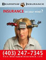 Bearspaw Insurance image 3