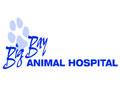 Big Bay Animal Hospital logo