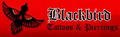 Blackbird Tattooing & Body Piercing image 3