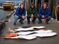 Blackfeather Fishing Charters image 2