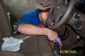 Blitz Auto Spa - Auto Detailing Specialists image 2