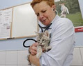 Blue Cross Animal Hospital image 3