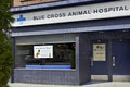Blue Cross Animal Hospital logo