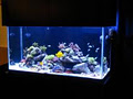 Blue World Aquariums image 4