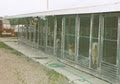 Boarding Kennel Shaynedoro (registered) image 3