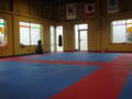 Bolton Taekwondo Academy image 2