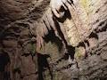 Bonnechere Caves image 6
