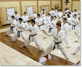 Brad Jones Karate-Do & Fitness Centre image 2