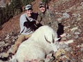 Bugle Basin Outfitters - Big Game Hunting, Fishing and Back Country Recreation image 3
