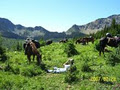 Bugle Basin Outfitters - Big Game Hunting, Fishing and Back Country Recreation image 5