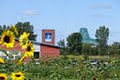 Bureau D'Information Touristique De Bécancour image 4