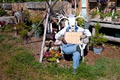 Bush Art Gardens image 3