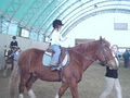 Caledon Equestrian School image 2