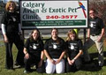 Calgary Avian & Exotic Pet Clinic logo