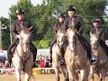 Callander Hall Equestrian Center image 5