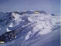 Canadian Avalanche Foundation logo