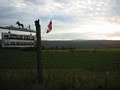Cariboo's Corn Maze image 4