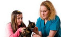 Cat Clinic The image 5