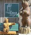 Cedar Images logo