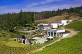 CedarCreek Estate Winery image 6