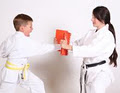 Central Alberta Martial Arts and Wellness Centre image 2