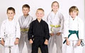 Central Alberta Martial Arts and Wellness Centre image 3