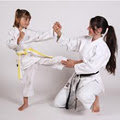 Central Alberta Martial Arts and Wellness Centre image 4
