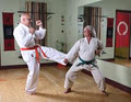 Central Alberta Martial Arts and Wellness Centre image 5