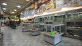 Centre D'Animaux NATURE Pet - Boisbriand image 5