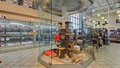 Centre D'Animaux NATURE Pet - Boisbriand image 1