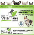 Clinique Vétérinaire Bellefeuille logo
