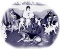 Club Dog Doggy Daycare & Grooming Inc image 1
