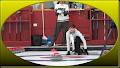 Club de Curling de Sept-Îles image 5