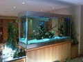 Coast Aquariums - Custom Aquariums & Care image 2