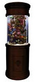 Coast Aquariums - Custom Aquariums & Care image 3