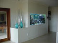 Coast Aquariums - Custom Aquariums & Care image 1