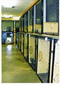 Country Kennels image 4