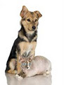 Creek Side Veterinary & Animal Hospital Best Veterinarians Calgary logo