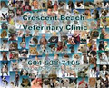 Crescent Beach Veterinary Clinic image 3