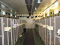 Dacksville Boarding Kennel image 2