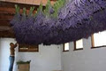 Damali Lavender Farm, Winery and B&B image 4