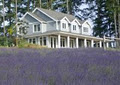 Damali Lavender Farm, Winery and B&B logo
