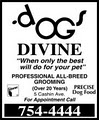 Dogs Divine Pet Grooming logo